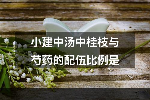 小建中汤中桂枝与芍药的配伍比例是