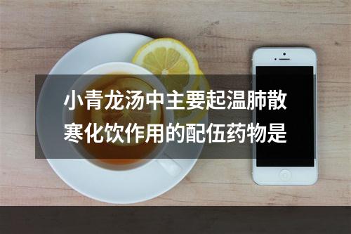 小青龙汤中主要起温肺散寒化饮作用的配伍药物是