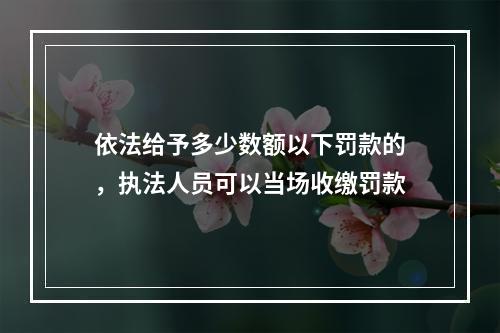 依法给予多少数额以下罚款的，执法人员可以当场收缴罚款