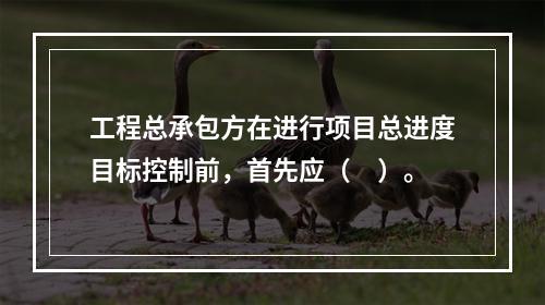 工程总承包方在进行项目总进度目标控制前，首先应（　）。