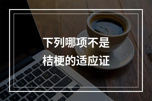 下列哪项不是桔梗的适应证