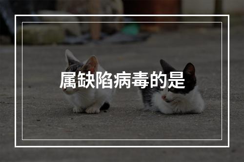 属缺陷病毒的是