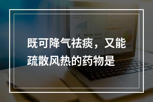 既可降气祛痰，又能疏散风热的药物是