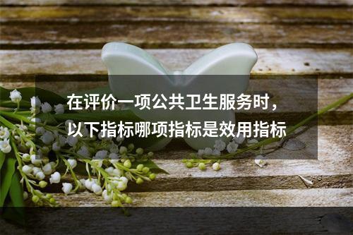 在评价一项公共卫生服务时，以下指标哪项指标是效用指标