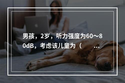 男孩，2岁，听力强度为60～80dB，考虑该儿童为（　　）。