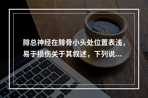 腓总神经在腓骨小头处位置表浅，易于损伤关于其叙述，下列说法不