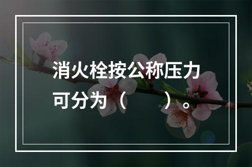 消火栓按公称压力可分为（  ）。