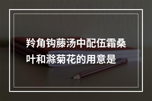 羚角钩藤汤中配伍霜桑叶和滁菊花的用意是