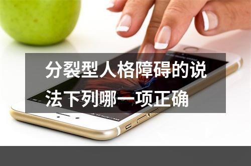 分裂型人格障碍的说法下列哪一项正确