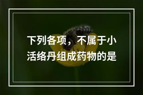 下列各项，不属于小活络丹组成药物的是