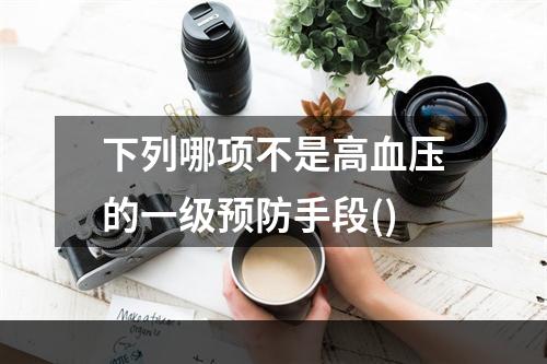 下列哪项不是高血压的一级预防手段()