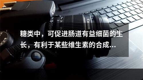 糖类中，可促进肠道有益细菌的生长，有利于某些维生素的合成，并