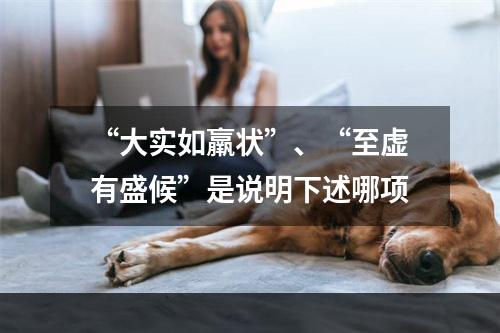 “大实如羸状”、“至虚有盛候”是说明下述哪项