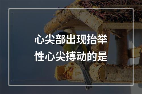 心尖部出现抬举性心尖搏动的是