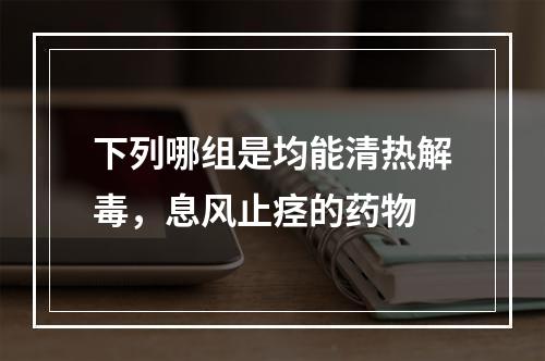 下列哪组是均能清热解毒，息风止痉的药物