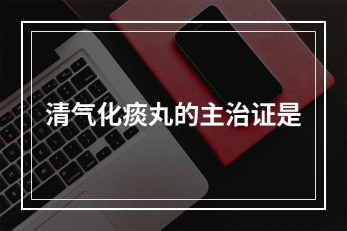 清气化痰丸的主治证是