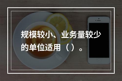 规模较小、业务量较少的单位适用（ ）。