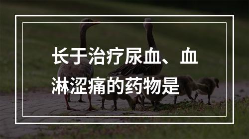 长于治疗尿血、血淋涩痛的药物是