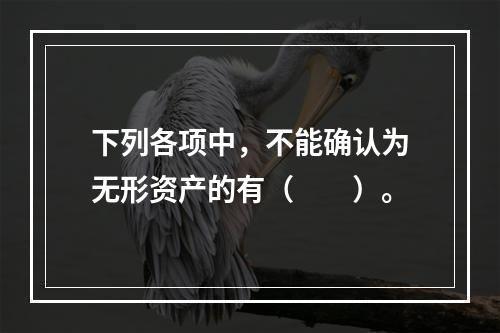 下列各项中，不能确认为无形资产的有（  ）。