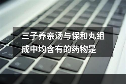 三子养亲汤与保和丸组成中均含有的药物是