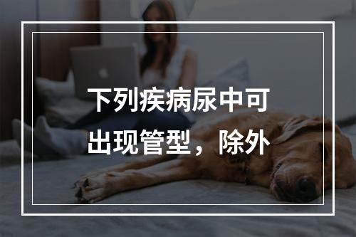 下列疾病尿中可出现管型，除外