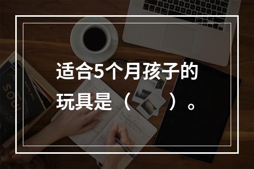 适合5个月孩子的玩具是（　　）。