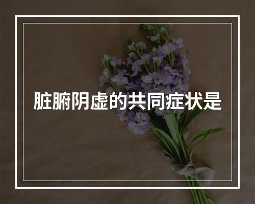 脏腑阴虚的共同症状是