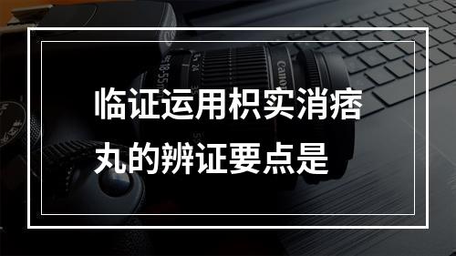 临证运用枳实消痞丸的辨证要点是