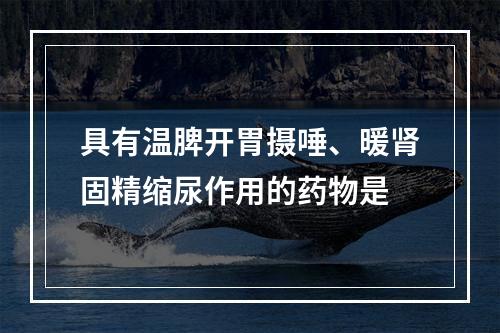 具有温脾开胃摄唾、暖肾固精缩尿作用的药物是