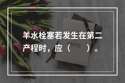 羊水栓塞若发生在第二产程时，应（　　）。