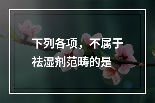 下列各项，不属于祛湿剂范畴的是