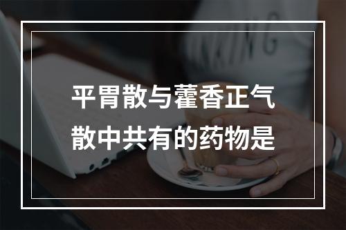 平胃散与藿香正气散中共有的药物是