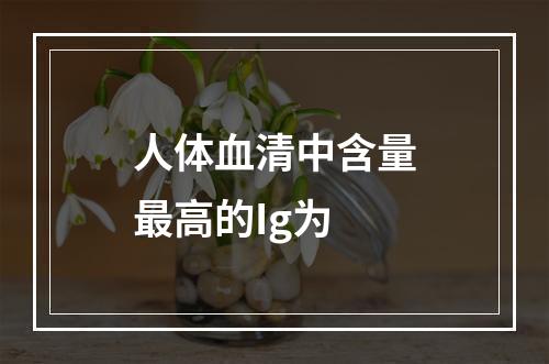 人体血清中含量最高的Ig为