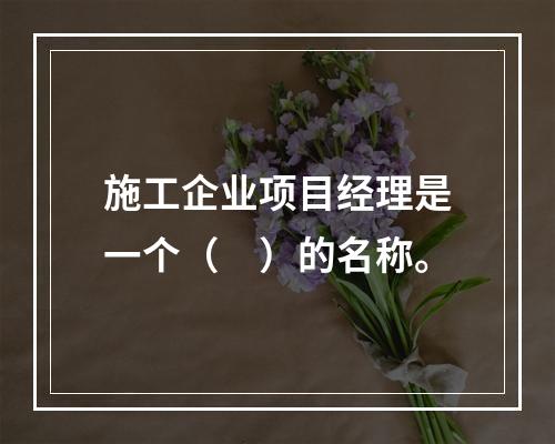 施工企业项目经理是一个（　）的名称。