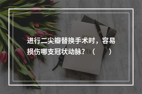 进行二尖瓣替换手术时，容易损伤哪支冠状动脉？（　　）