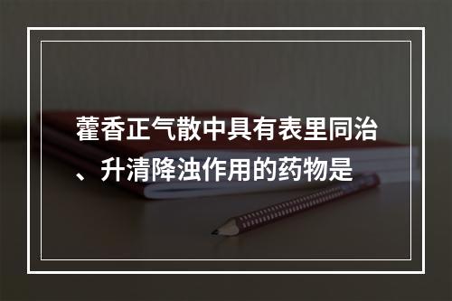 藿香正气散中具有表里同治、升清降浊作用的药物是