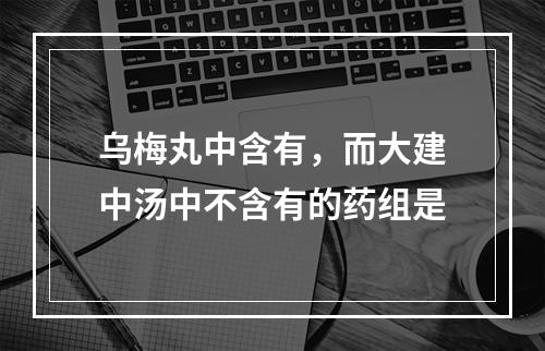 乌梅丸中含有，而大建中汤中不含有的药组是