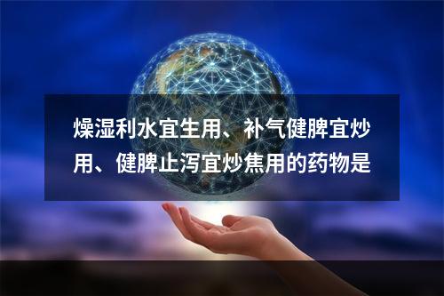 燥湿利水宜生用、补气健脾宜炒用、健脾止泻宜炒焦用的药物是