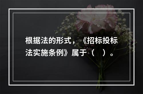 根据法的形式，《招标投标法实施条例》属于（　）。