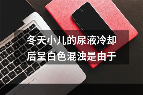 冬天小儿的尿液冷却后呈白色混浊是由于