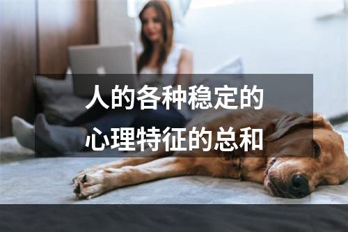 人的各种稳定的心理特征的总和