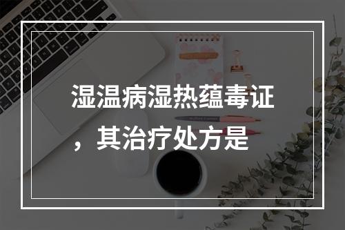 湿温病湿热蕴毒证，其治疗处方是