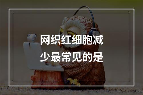 网织红细胞减少最常见的是