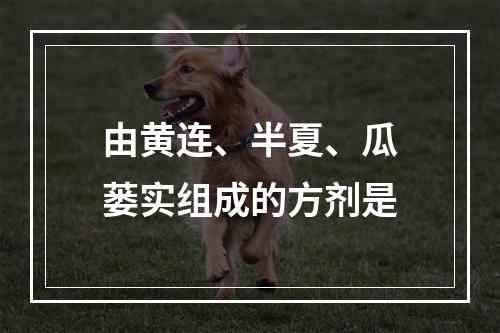 由黄连、半夏、瓜蒌实组成的方剂是