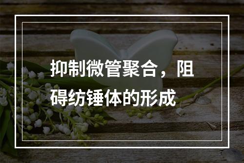 抑制微管聚合，阻碍纺锤体的形成