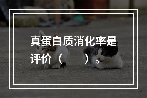 真蛋白质消化率是评价（　　）。