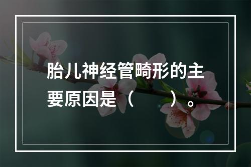 胎儿神经管畸形的主要原因是（　　）。