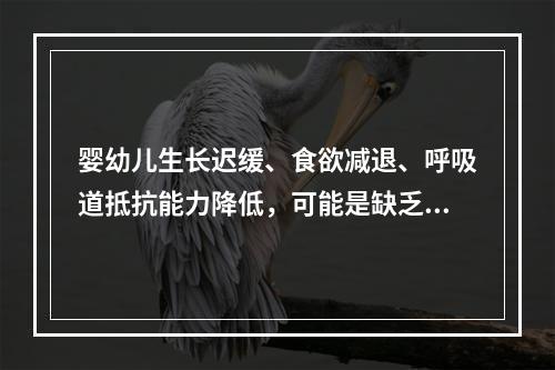 婴幼儿生长迟缓、食欲减退、呼吸道抵抗能力降低，可能是缺乏（　