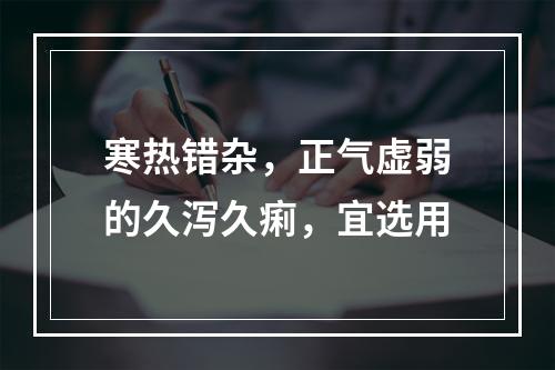 寒热错杂，正气虚弱的久泻久痢，宜选用