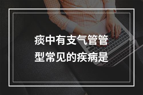 痰中有支气管管型常见的疾病是